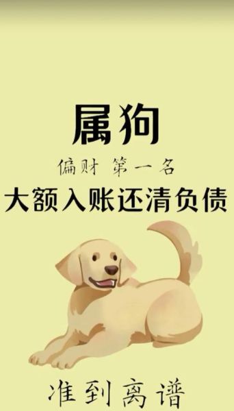 82年属狗2017运势如何_2017年属狗人财运旺不旺