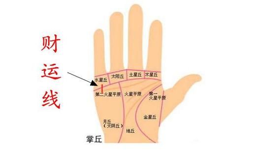 财运线长代表什么_财运线长就一定有钱吗