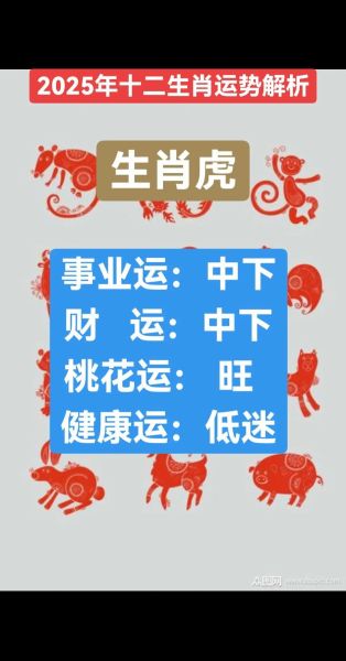 虎人蛇年运势如何_2025属虎人全年运程详解