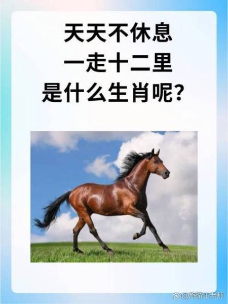 浮屠塔天天运势怎么看_今日运势查询方法