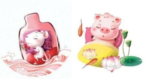 属猪和属鼠哪个好_生肖运势对比