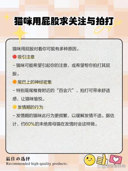 梦到被猫咬屁股_是什么意思