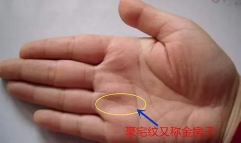 财运线豪宅纹怎么看_豪宅纹代表什么
