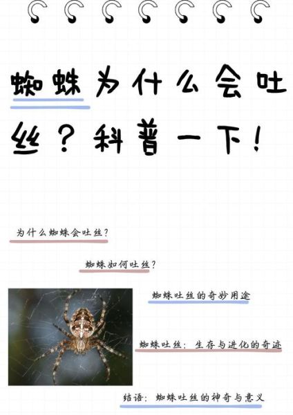 梦到蜘蛛吐丝是什么意思_梦见蜘蛛吐丝预示什么