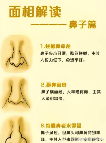 鼻子小没财运是真的吗_如何改善面相招财