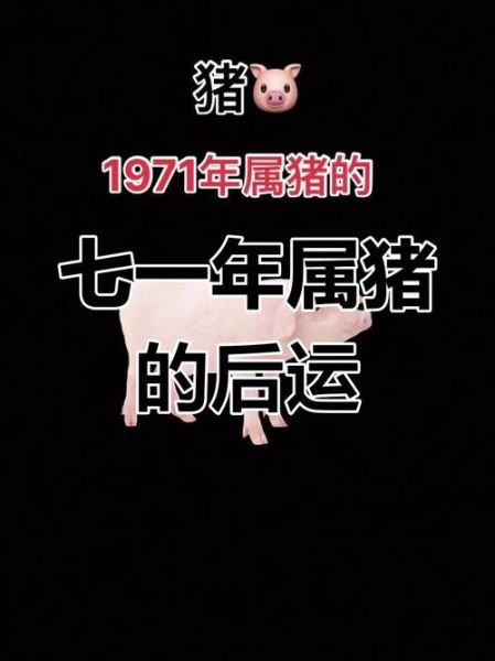 1971年属什么生肖_1971年出生今年多大