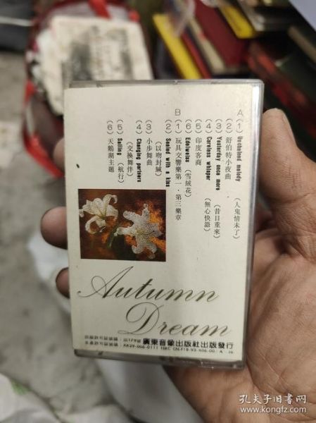 梦到磁带是什么意思_磁带梦境解析