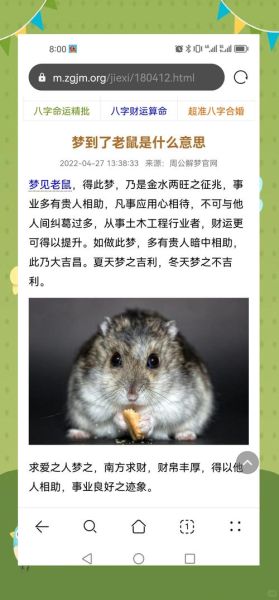 梦到老鼠扑到我身上_是什么意思