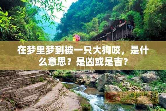 梦到被小动物咬_意味着什么