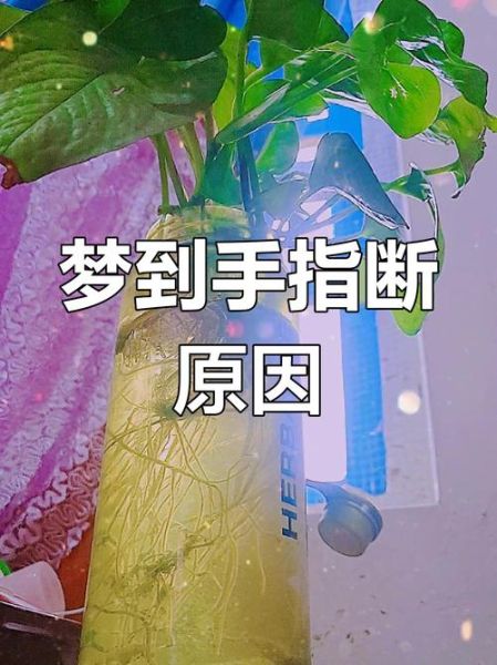梦到右手裂_是什么意思