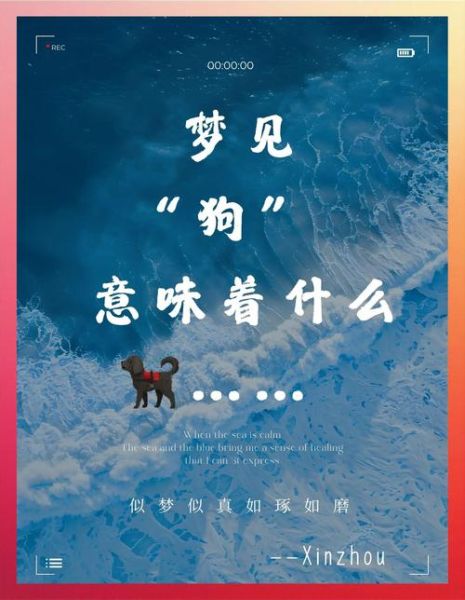 梦到白狗咬我_白狗咬人梦境解析