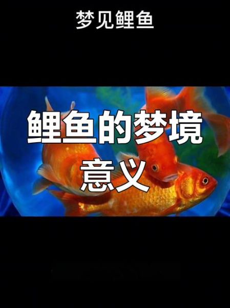 梦到洗鱼是什么意思_梦到洗鱼预示着什么