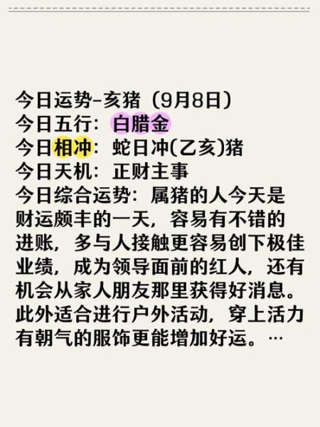 乙亥月属相运势_属猪人乙亥月注意事项
