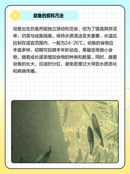 梦到鱼下仔是什么意思_梦见鱼产卵预示着什么