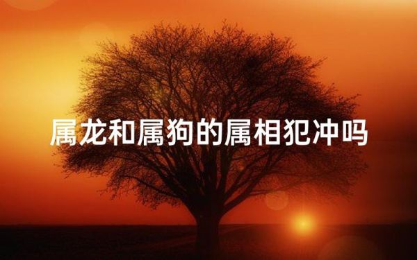 狗属相冲怎么办_狗和龙相冲如何化解