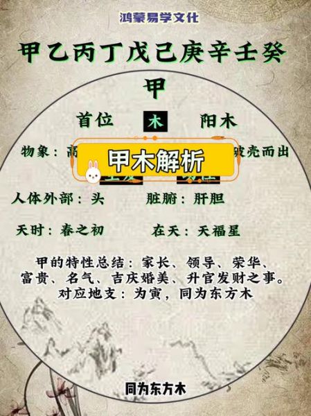 2017年甲木女命运势_甲木女2017年财运如何