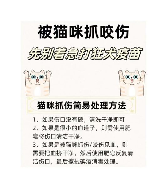 梦到被猫挠了_预示什么