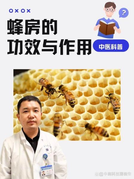 梦到蜂巢是什么意思_梦到蜂巢预示什么