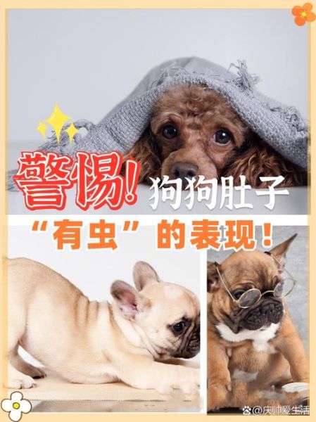 梦到寄生虫在身体里_是什么预兆