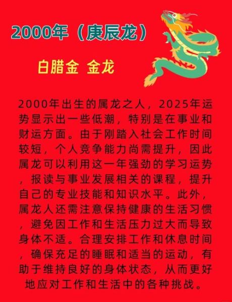 属龙的人财运_如何提升财富运势