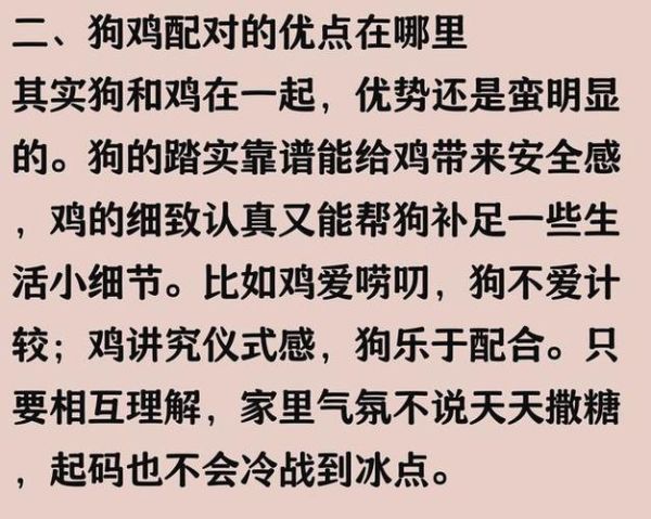 鸡和狗属相合不合_婚姻配对靠谱吗