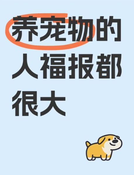 猫狗财运_养猫还是养狗更能招财