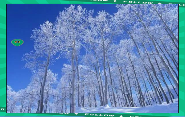 做梦梦到雪是什么意思_梦见下雪代表什么