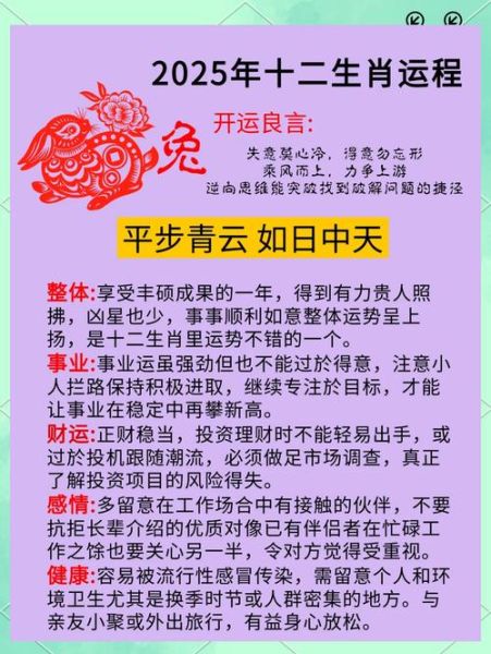 兔年生人2024年运势_如何转运提升财运
