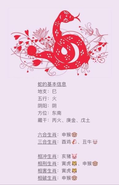 蛇人猪年财运如何_蛇人猪年财运提升方法