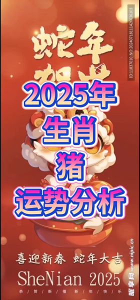 1995年属猪女2025年运势_如何提升财运
