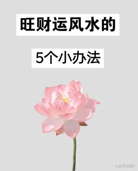 今日风水运势如何_如何提升财运