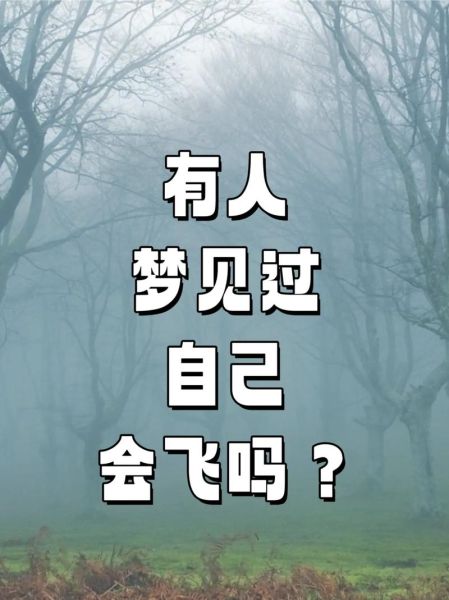 梦到自己能飞起来_预示着什么