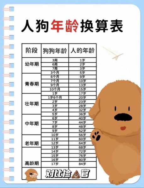 狗属相今年多大_2025年狗年出生年龄对照表