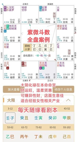 紫微命盘怎么看财运_紫微斗数财帛宫怎么看