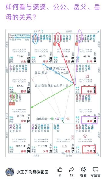 紫薇怎么看流年运势_流年盘怎么看