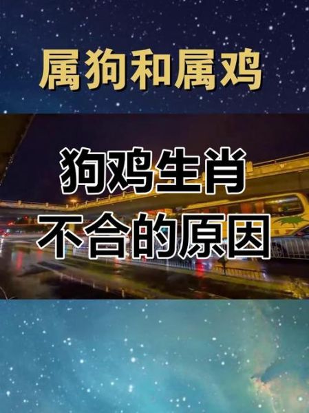 鸡和狗属相相冲吗_如何化解鸡犬不宁