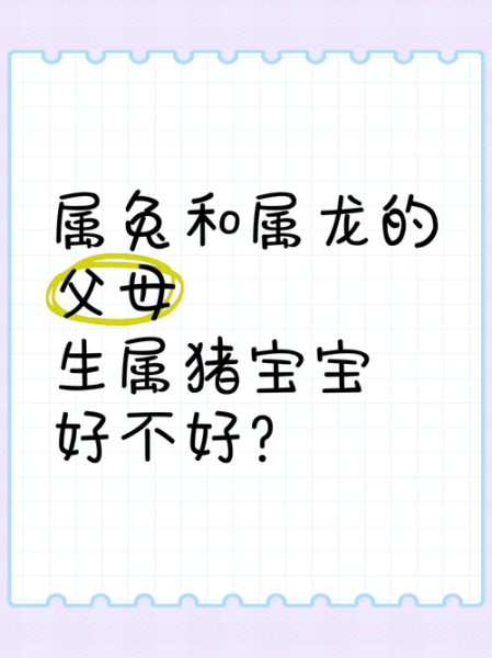 父母属龙孩子属兔好吗_父母属龙孩子属兔怎么化解