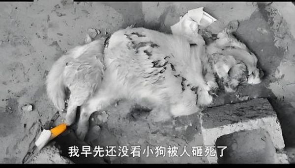 梦到血肉模糊的死人_意味着什么