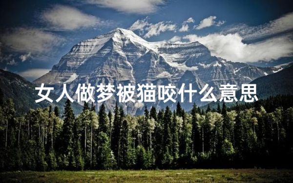 梦到被猫袭击_是什么意思