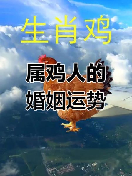 鸡和什么属相最配_鸡最忌婚配属相
