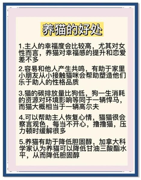 属蛇的人能养猫吗_属蛇养猫风水禁忌