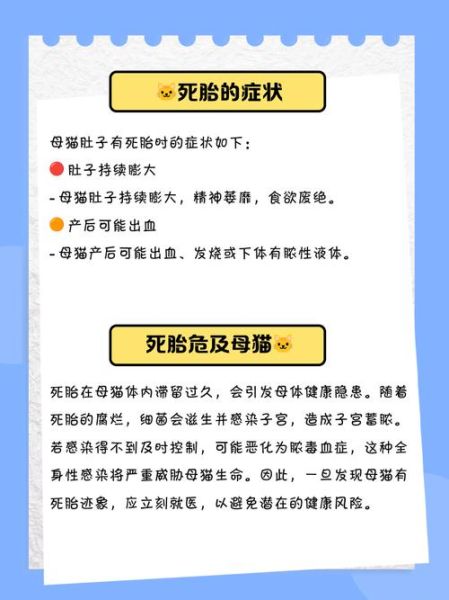 怀孕梦到黑猫_胎梦预示什么