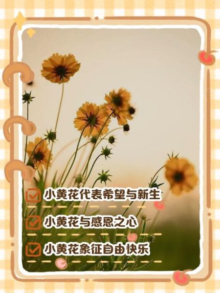 梦到黄色的花是什么意思_梦见黄花的预兆