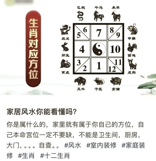 属相与周易的关系_如何用周易选生肖
