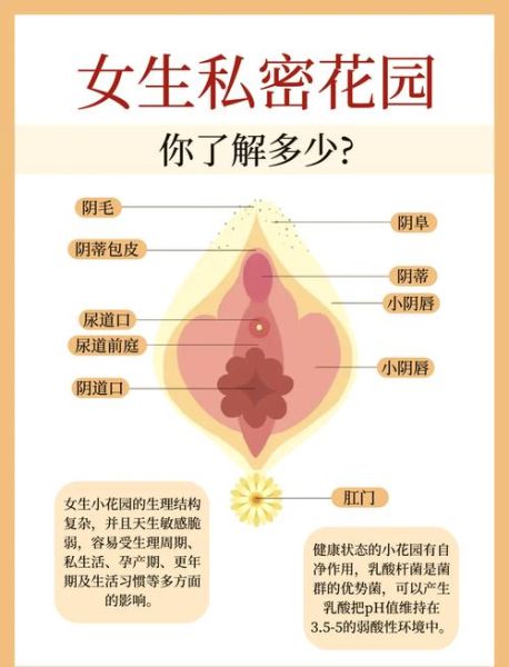 梦到女私处是什么意思_梦见女性私密部位代表什么