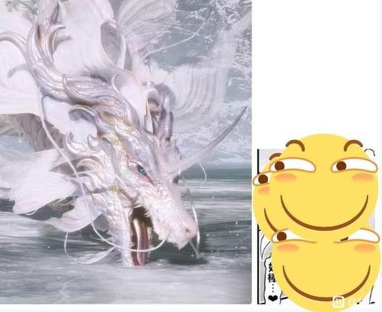 梦到白色的龙_是什么意思