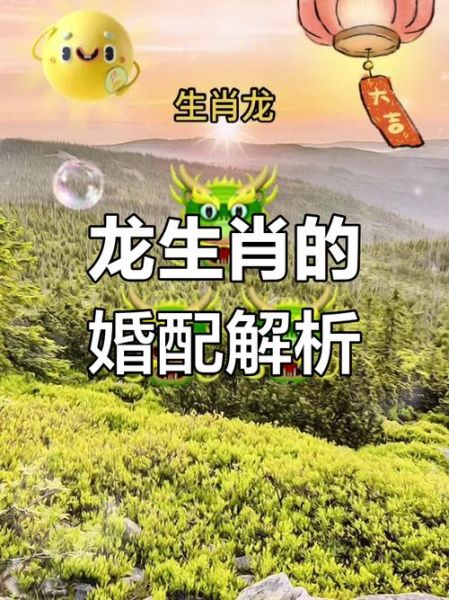 属龙射手女生一生运势如何_属龙射手女婚姻财运好吗