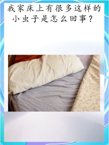 梦到床上好多虫子_是什么意思