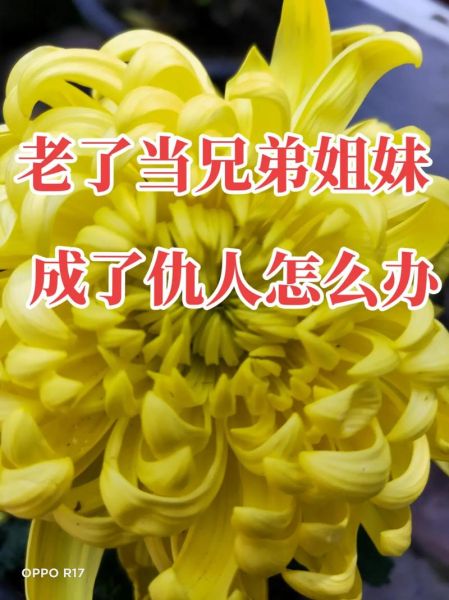 梦到愁人是什么意思_梦到愁人怎么办