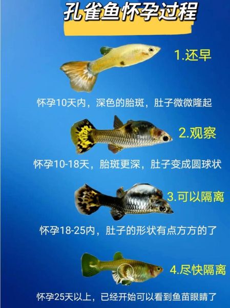 孕妇梦到好多大鱼是什么意思_孕妇梦见大鱼是生男生女